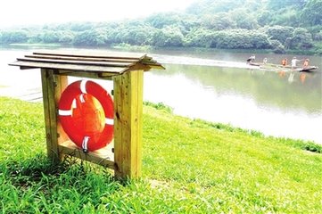 Ζωηρόσωμος που προέρχεται από την κολοκύνθη